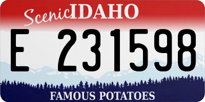ID license plate E231598
