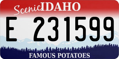 ID license plate E231599