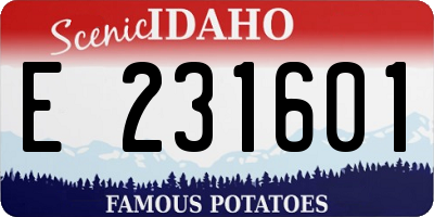 ID license plate E231601