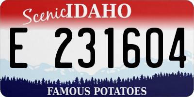 ID license plate E231604