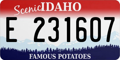 ID license plate E231607