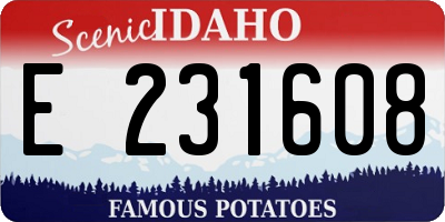 ID license plate E231608
