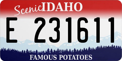 ID license plate E231611
