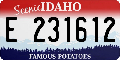 ID license plate E231612
