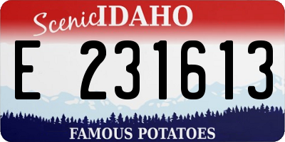 ID license plate E231613