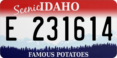 ID license plate E231614