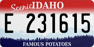 ID license plate E231615