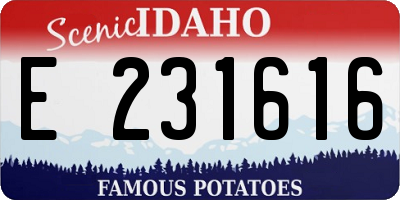 ID license plate E231616