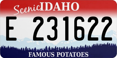 ID license plate E231622