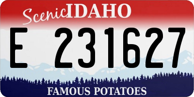ID license plate E231627