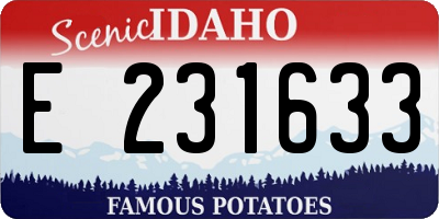 ID license plate E231633