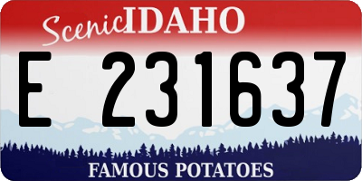 ID license plate E231637