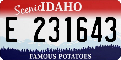 ID license plate E231643