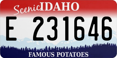 ID license plate E231646