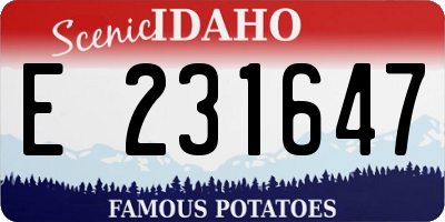 ID license plate E231647