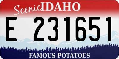 ID license plate E231651