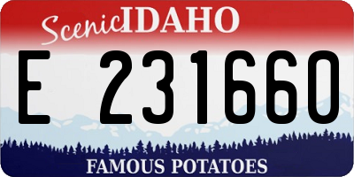 ID license plate E231660