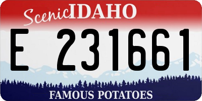ID license plate E231661