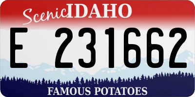 ID license plate E231662