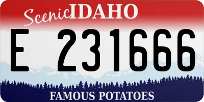 ID license plate E231666