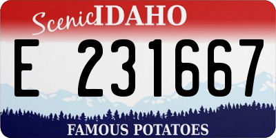 ID license plate E231667