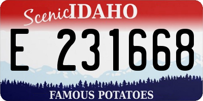 ID license plate E231668