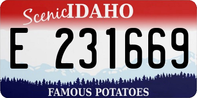 ID license plate E231669