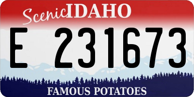ID license plate E231673