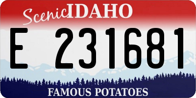 ID license plate E231681