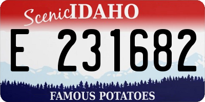 ID license plate E231682