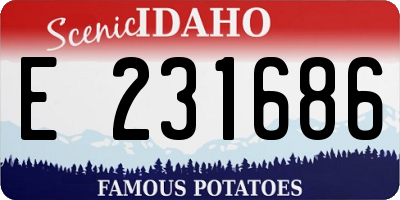 ID license plate E231686