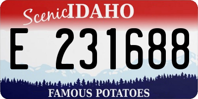 ID license plate E231688
