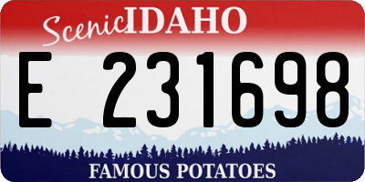 ID license plate E231698