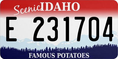 ID license plate E231704