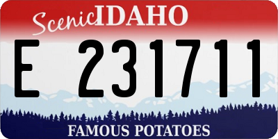 ID license plate E231711