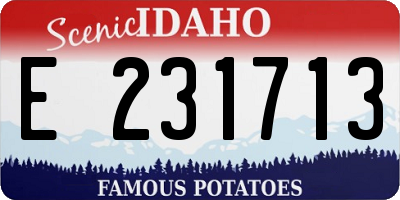 ID license plate E231713