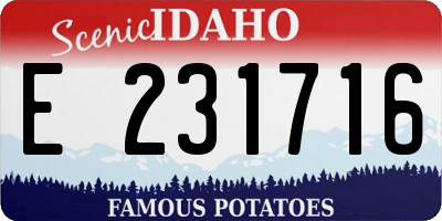 ID license plate E231716