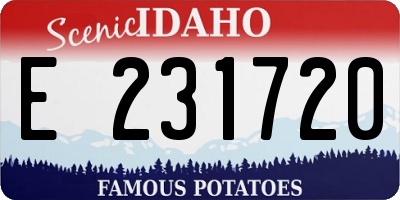 ID license plate E231720