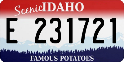 ID license plate E231721