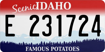 ID license plate E231724