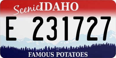 ID license plate E231727