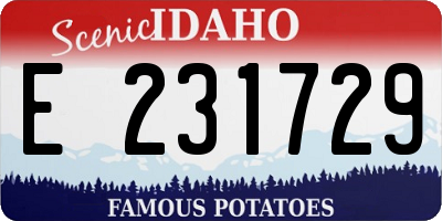 ID license plate E231729