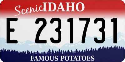 ID license plate E231731
