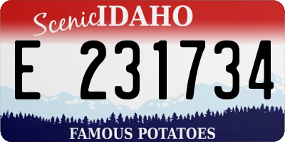ID license plate E231734