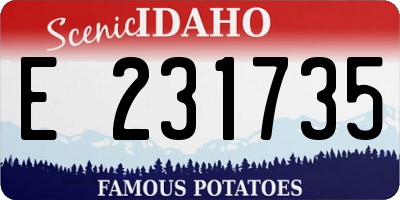 ID license plate E231735