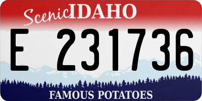 ID license plate E231736