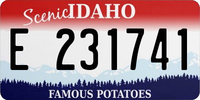 ID license plate E231741