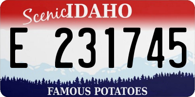 ID license plate E231745