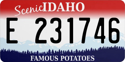 ID license plate E231746