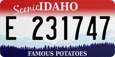 ID license plate E231747